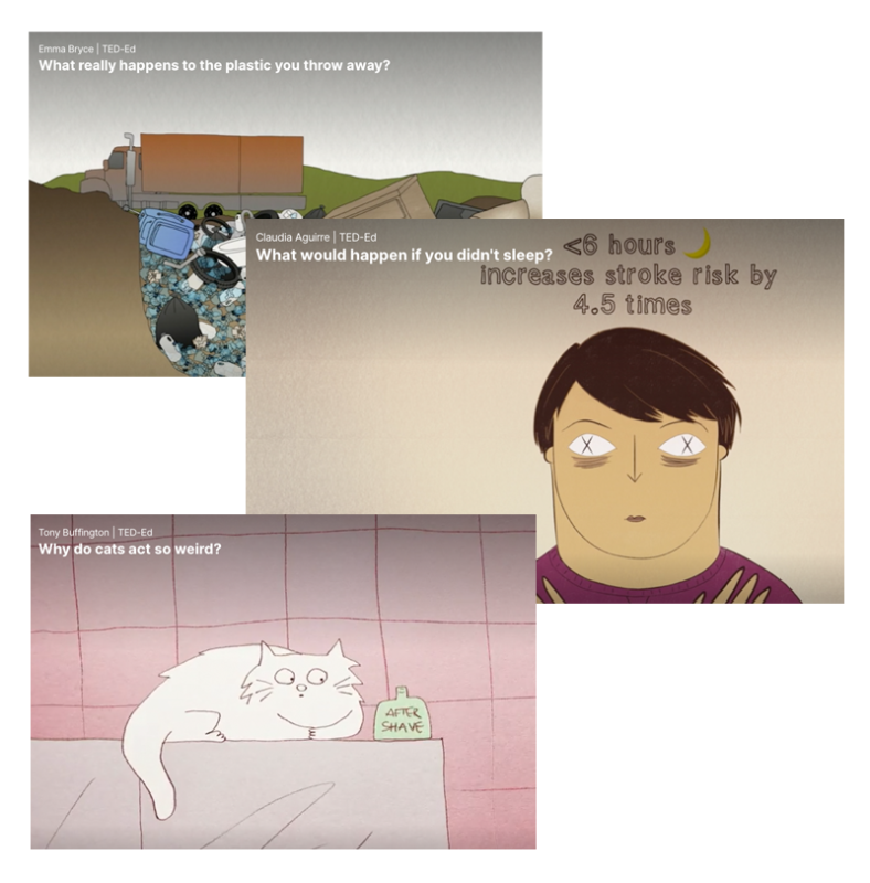 Kadry z animacji TED-Ed, dotyczących: plastiku, kociego życia i snu.